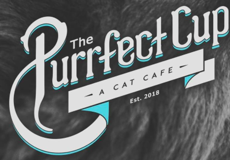The Purrfect Cup – A Cat Café